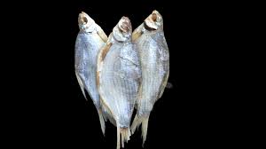 Густера вяленая мелкая 1,5 кг в Воронеже. Картинка